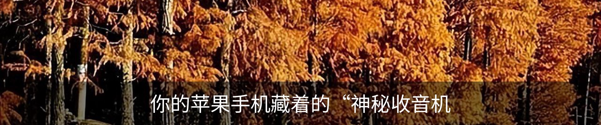 资讯中心